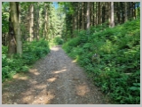 Slika_042.webp