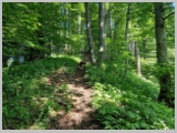 Slika_046.webp