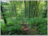 Slika_058.webp