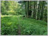 Slika_059.webp