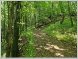 Slika_064.webp
