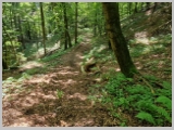 Slika_065.webp