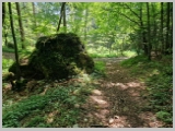 Slika_067.webp