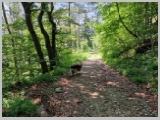 Slika_068.webp