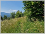Slika_073.webp
