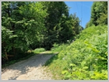 Slika_074.webp