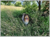 Slika_079.webp