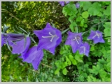 Slika_080.webp