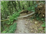 Slika_081.webp