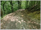 Slika_083.webp