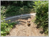 Slika_084.webp