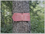 Slika_003.webp