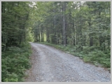 Slika_004.webp