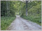 Slika_005.webp