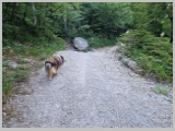Slika_007.webp