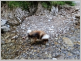 Slika_009.webp