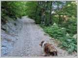Slika_010.webp