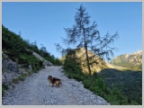 Slika_014.webp