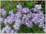 Slika_017.webp