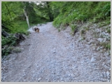 Slika_019.webp