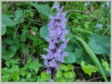 Slika_020.webp