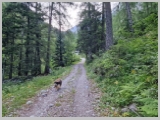 Slika_022.webp