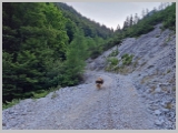 Slika_023.webp