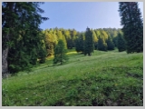 Slika_029.webp
