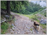 Slika_030.webp