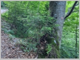 Slika_031.webp