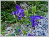 Slika_032.webp