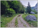 Slika_033.webp