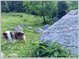 Slika_034.webp