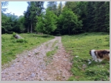 Slika_035.webp