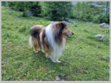 Slika_036.webp