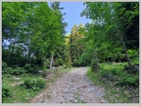 Slika_037.webp