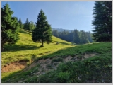Slika_039.webp