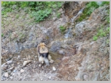 Slika_040.webp