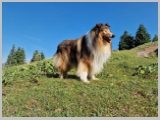 Slika_044.webp