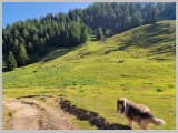 Slika_052.webp