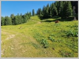 Slika_053.webp