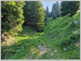 Slika_060.webp