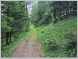 Slika_062.webp
