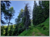 Slika_063.webp
