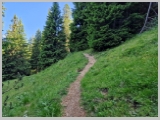 Slika_064.webp