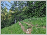 Slika_065.webp