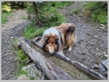 Slika_066.webp