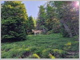 Slika_067.webp