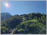 Slika_079.webp