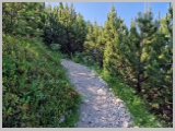 Slika_080.webp